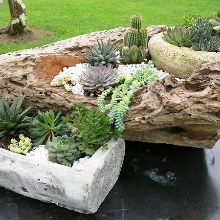 Hébergement de vacances Preciosa Casa Con Jardin En *